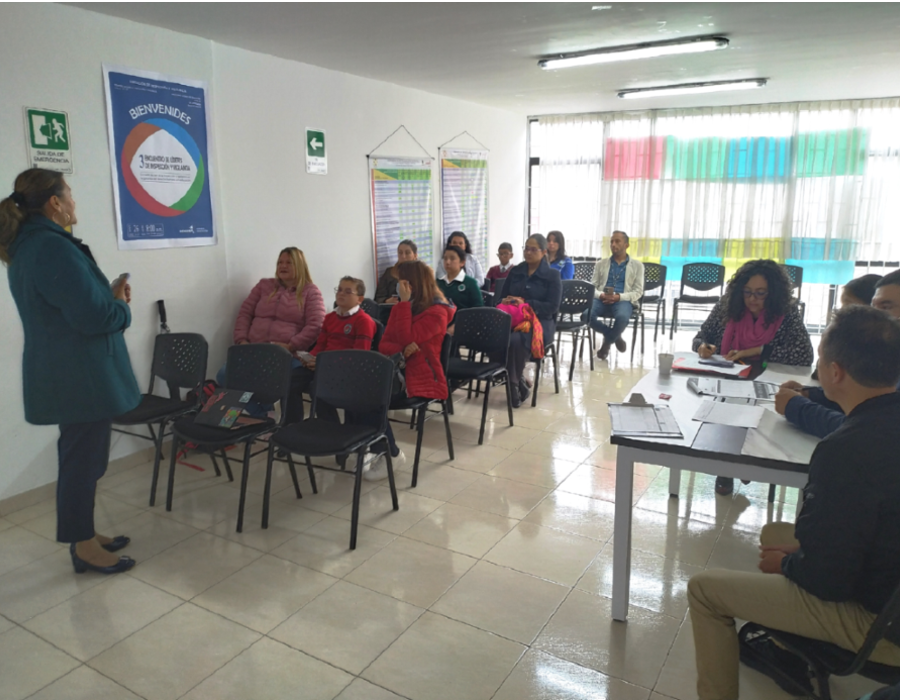 Directora Local de Educación - Mariela Castillo Rozo