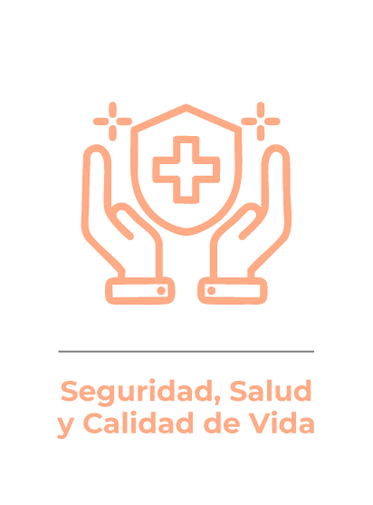 Seguridad, Salud y Calidad de Vida
