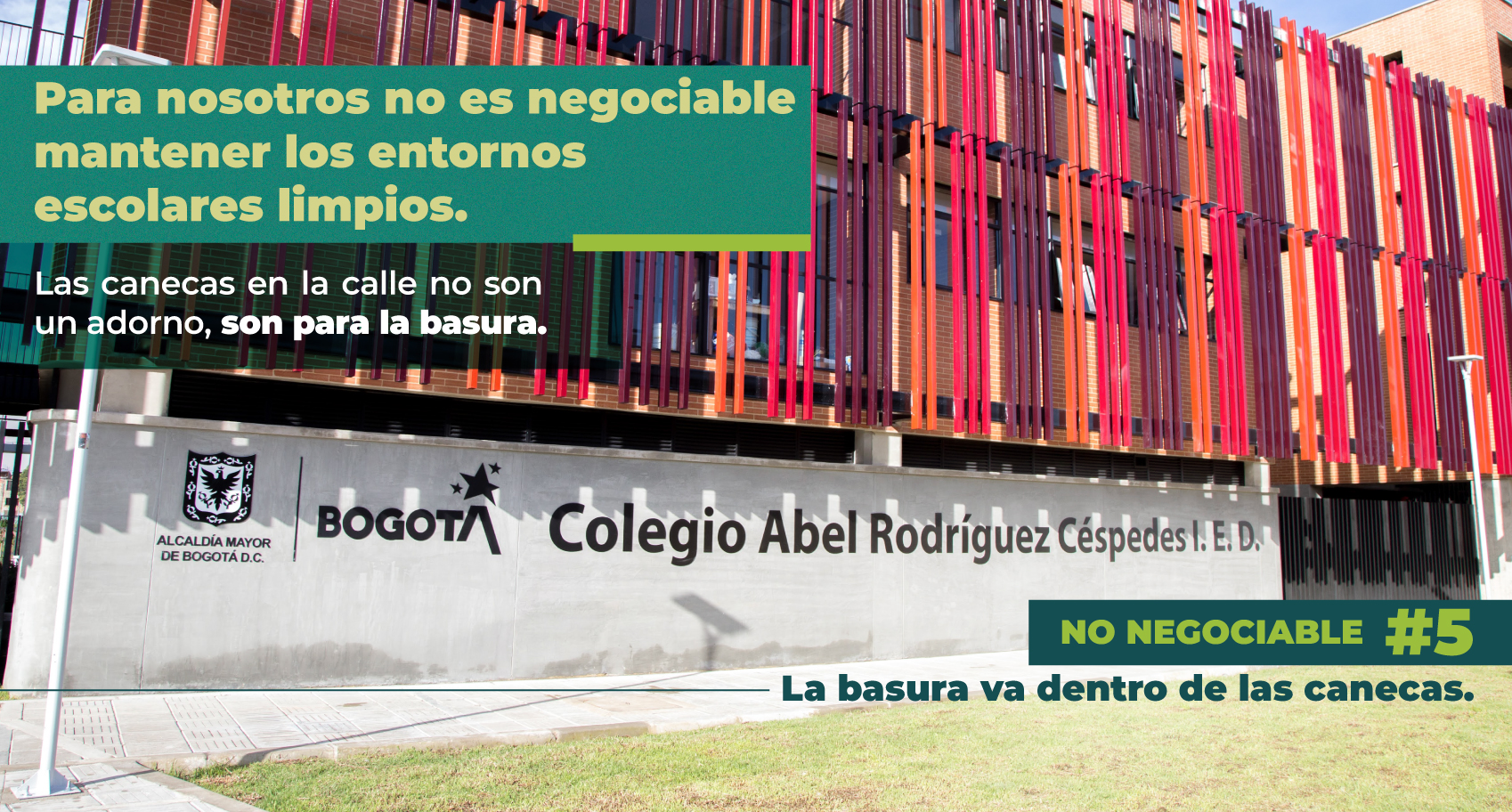 La basura va dentro de las canecas.