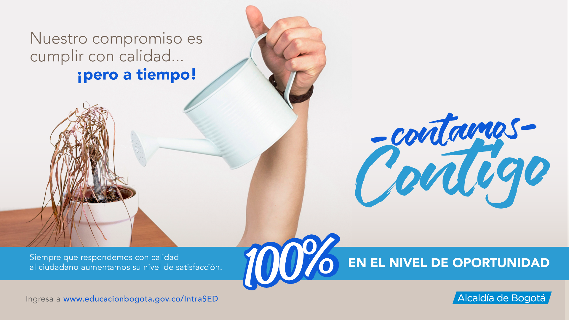 Pieza gráfica contamos contigo