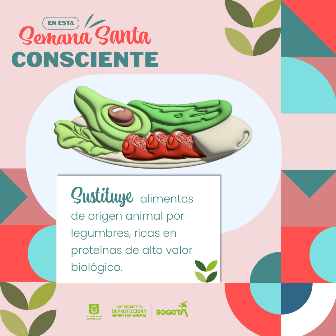 Alimentos