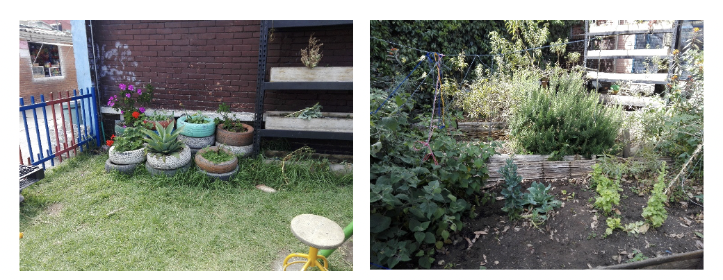 plantas