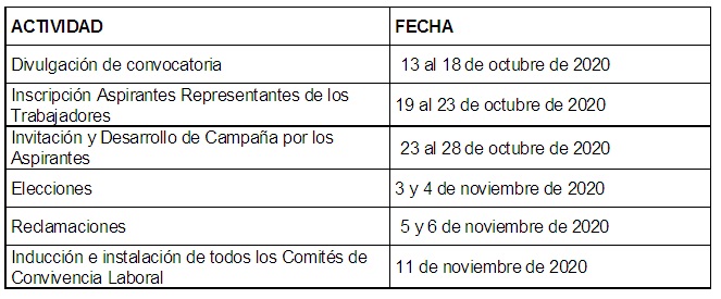 Cronograma elecciones comité de convivencia