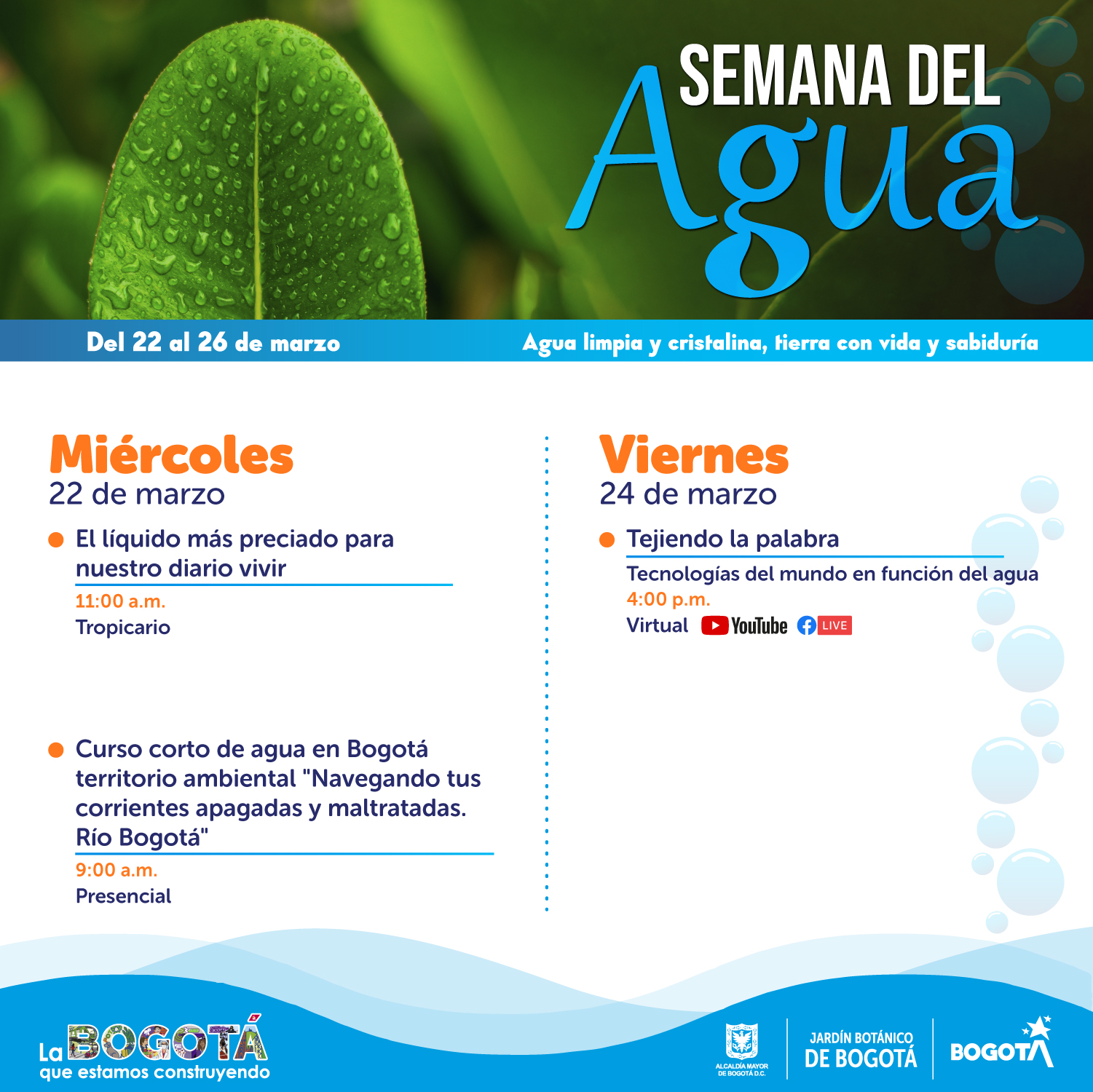 agua