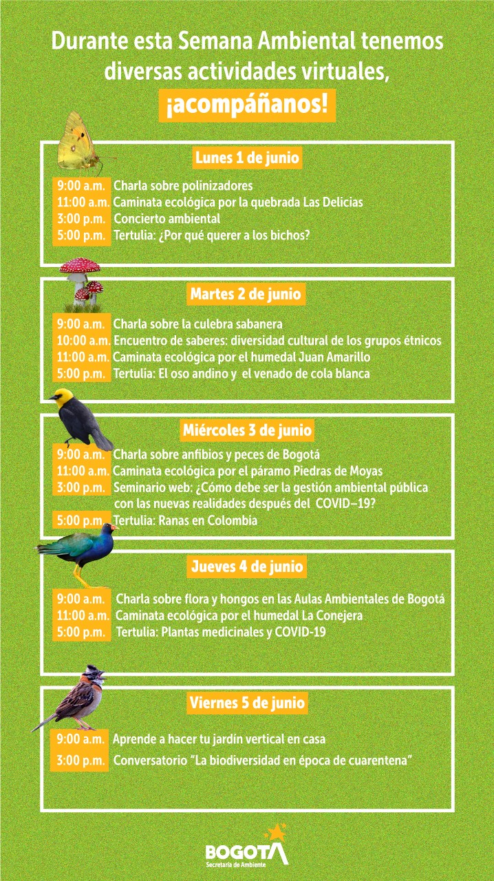 Programa semana ambiental
