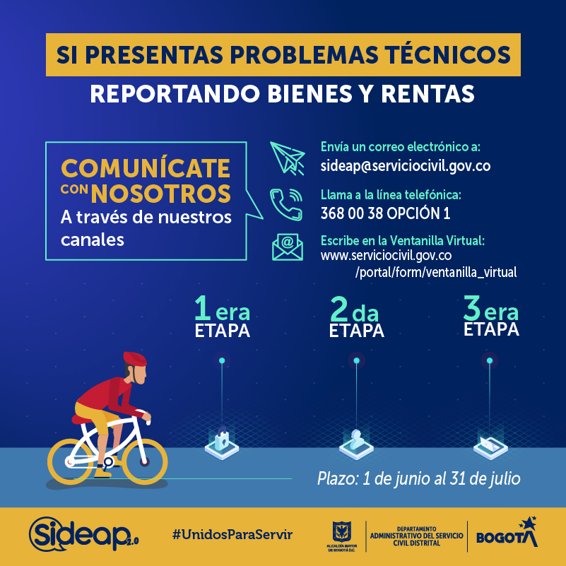 Reporte bienes y renta
