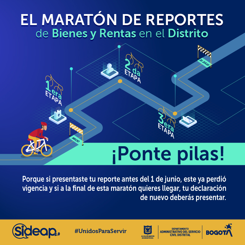 Reporte Bienes y Rentas 2