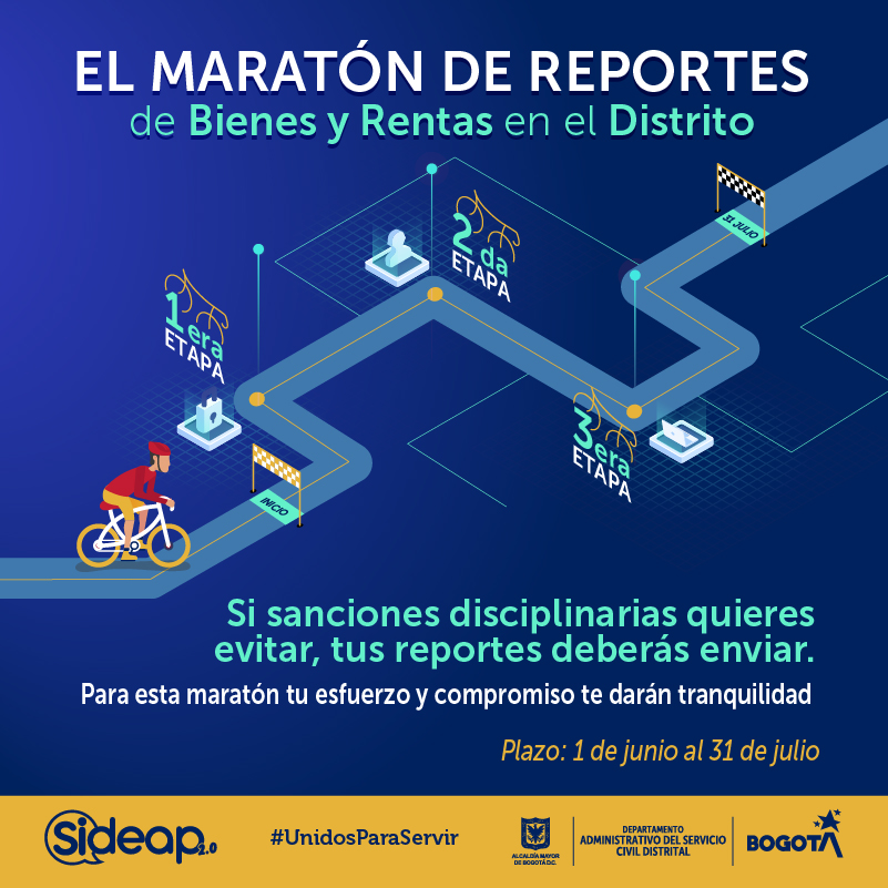 Reporte Bienes y Rentas 3