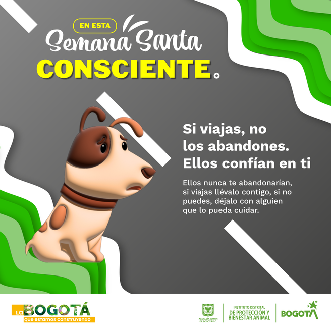 Semana Santa conciente