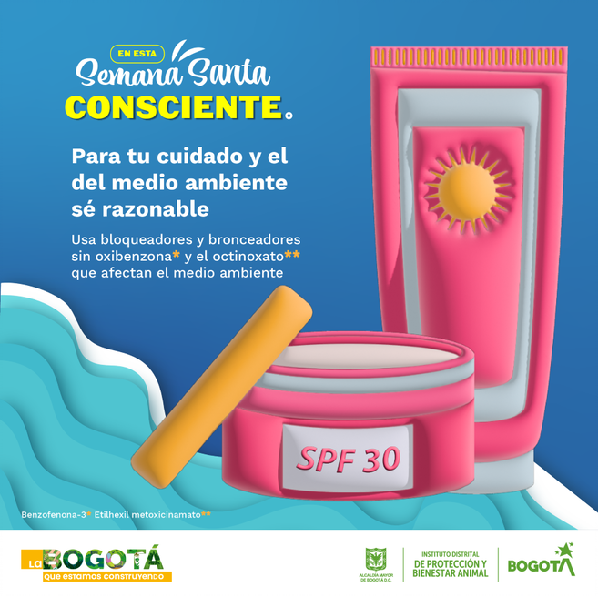 Semana Santa conciente