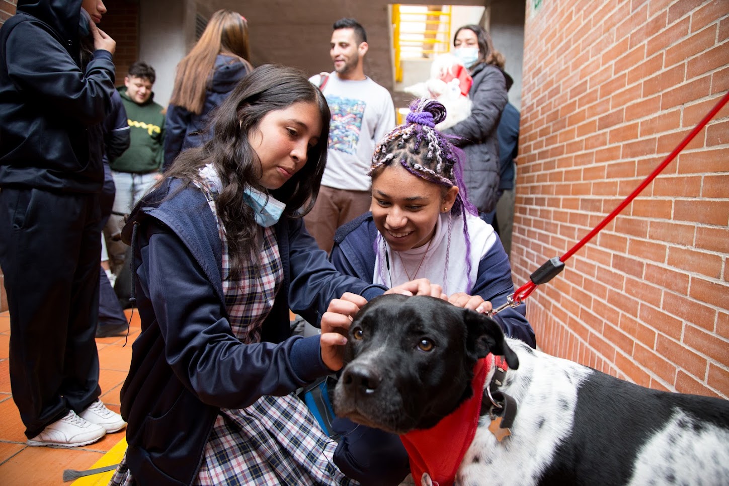 La educación en Bogotá celebra la Semana Distrital de Bienestar y Protección Animal, entre el 4 y el 6 de octubre