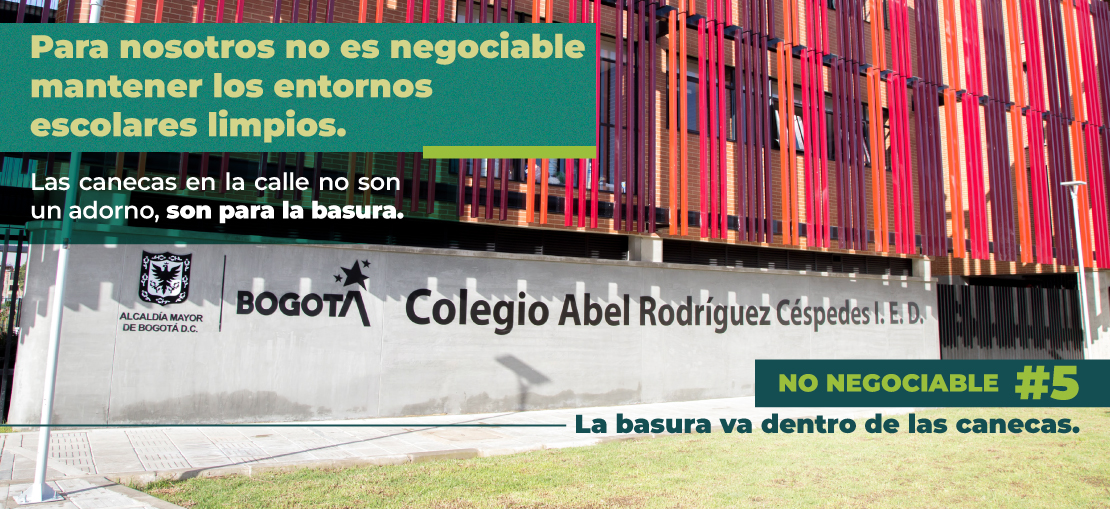 La basura va dentro de las canecas.