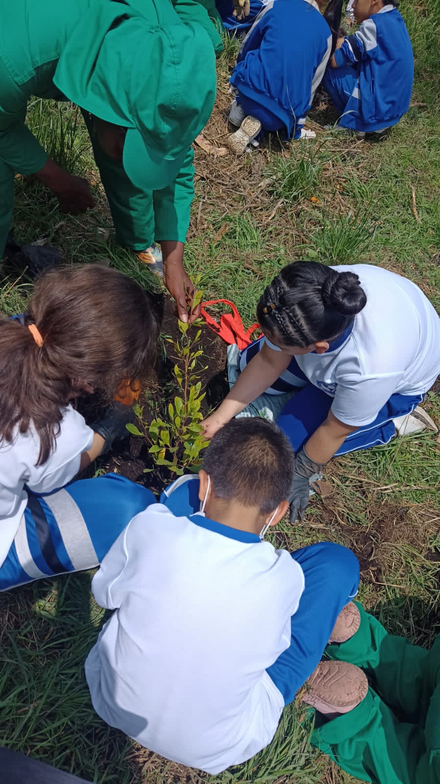 La lección en valores que recibieron estudiantes del Distrito mientras plantaron 80 árboles en el Humedal La Vaca