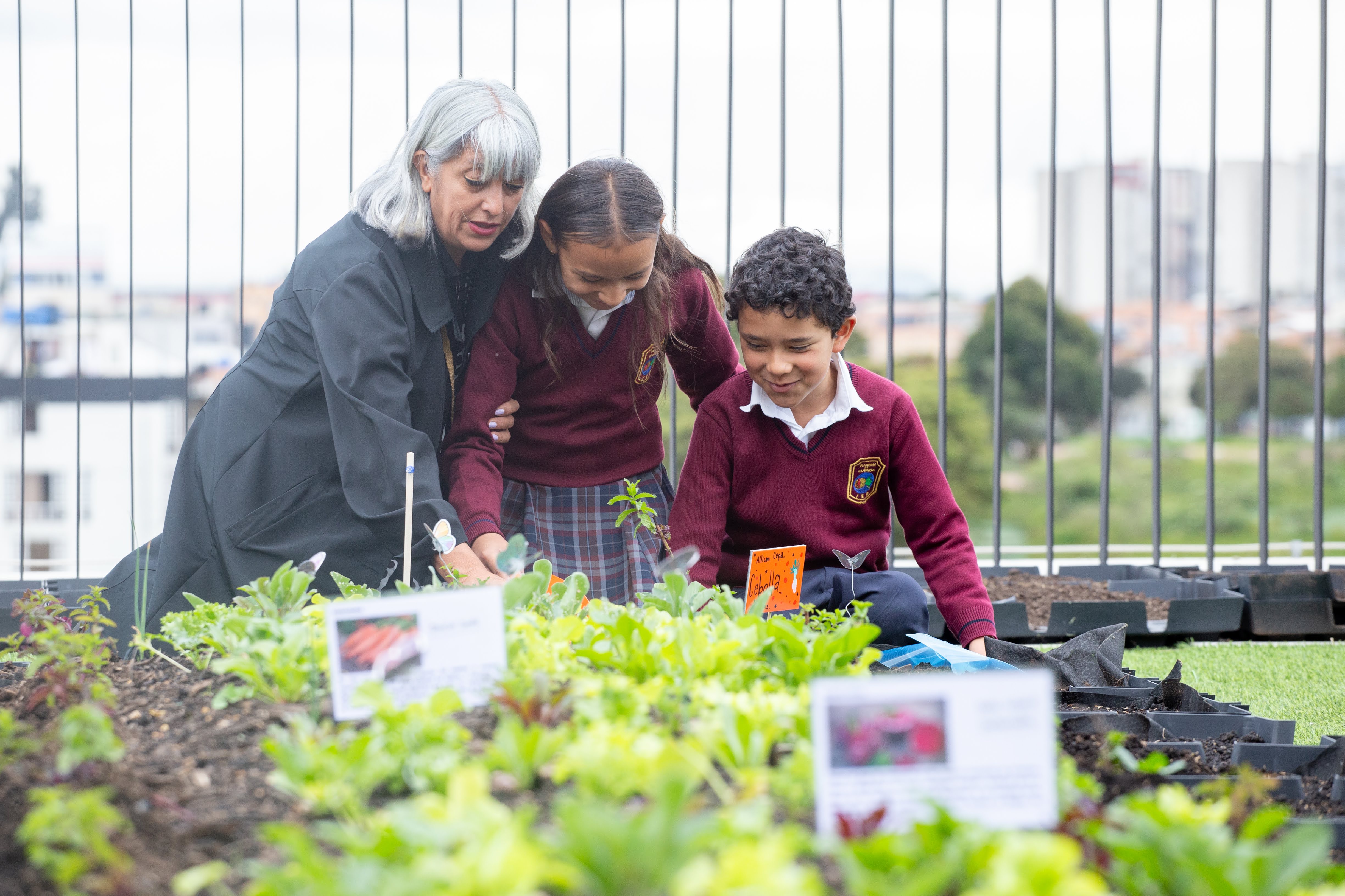 Más de 3.000 estudiantes de colegios oficiales se han beneficiado con el programa de Huertas Escolares de la Secretaría de Educación del Distrito