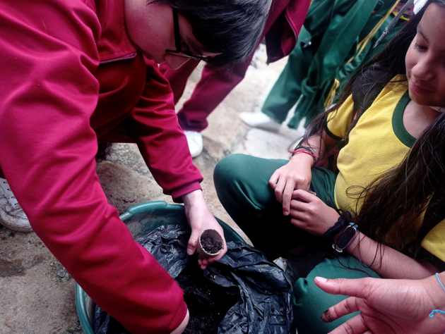 ECO | Programa Entornos Educativos Protectores y Confiables 