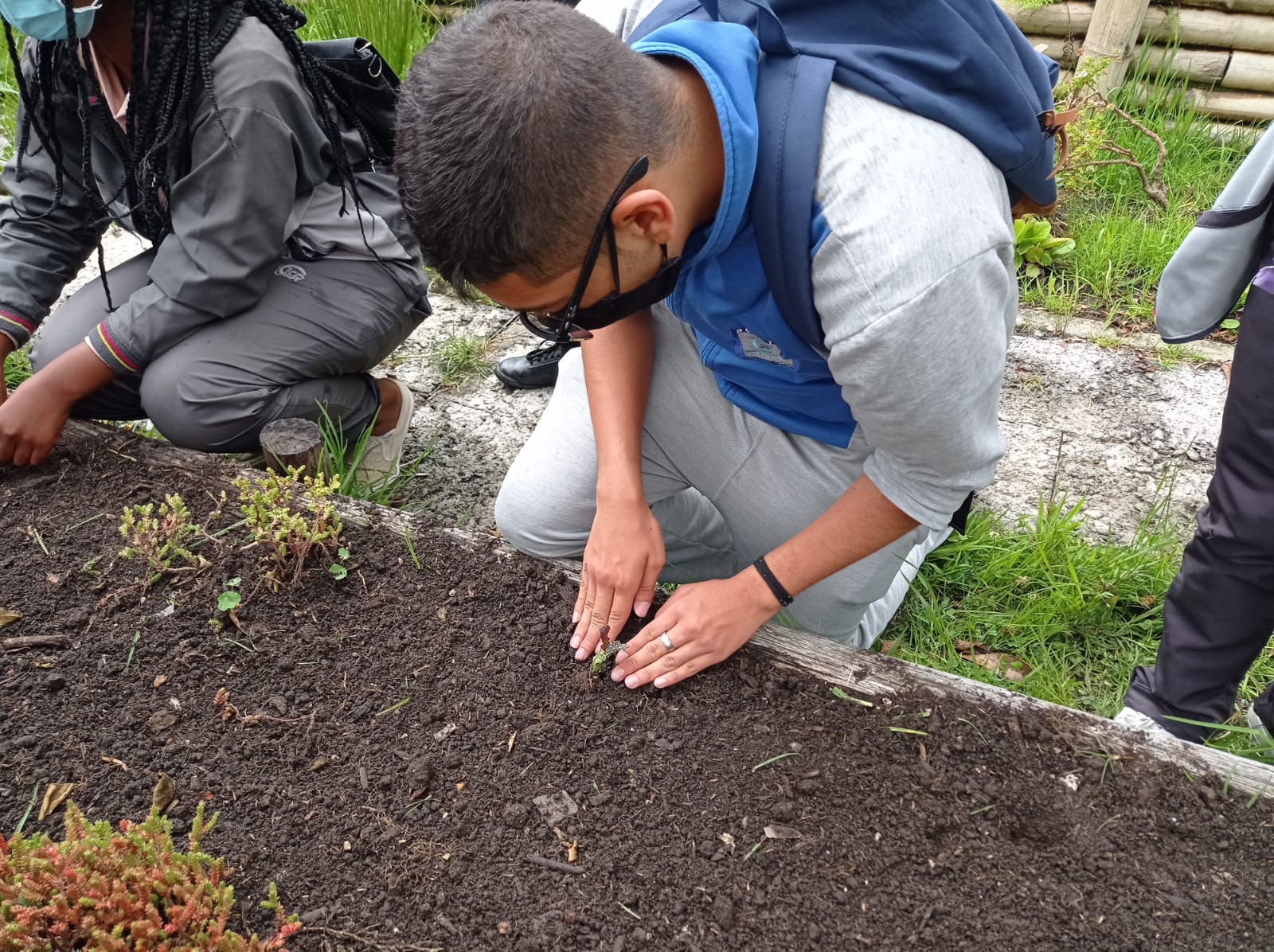 SECRETARIA DE EDUCACION DEL DISTRITO DE BOGOTA