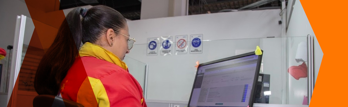 Profesionales de la SED