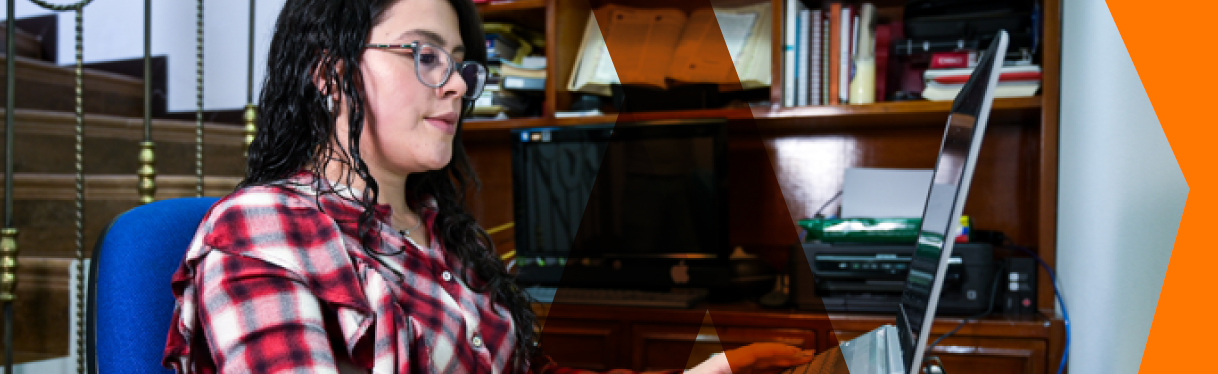 Profesional en teletrabajo