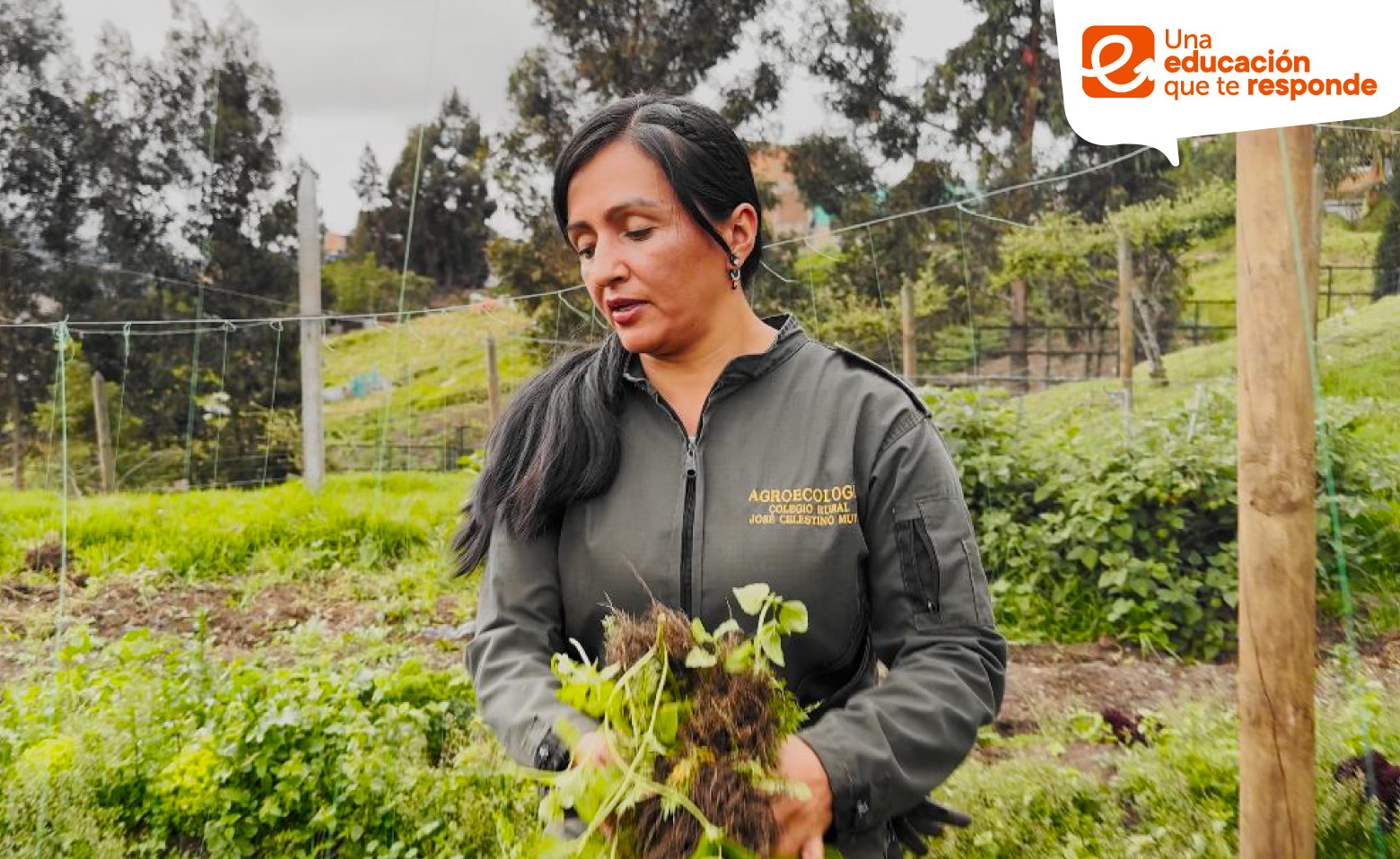 Docente Gilma Cruz en huerta de colegio distrital