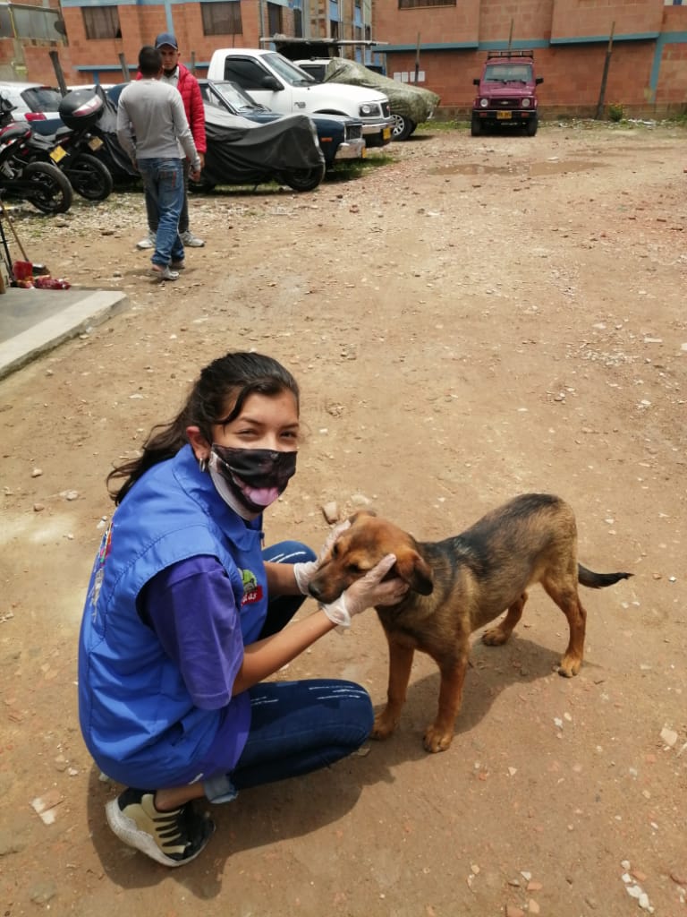 Una estudiante acariciando un perrito