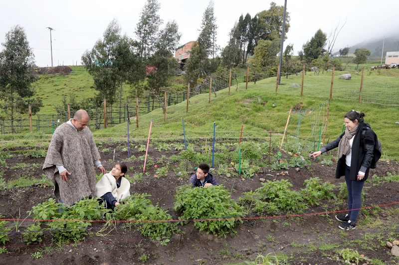 Col rural José Celestino Mutis 1
